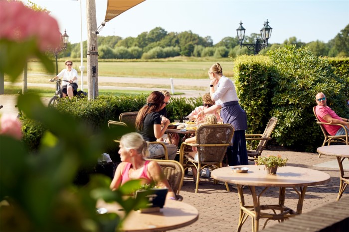 Terras